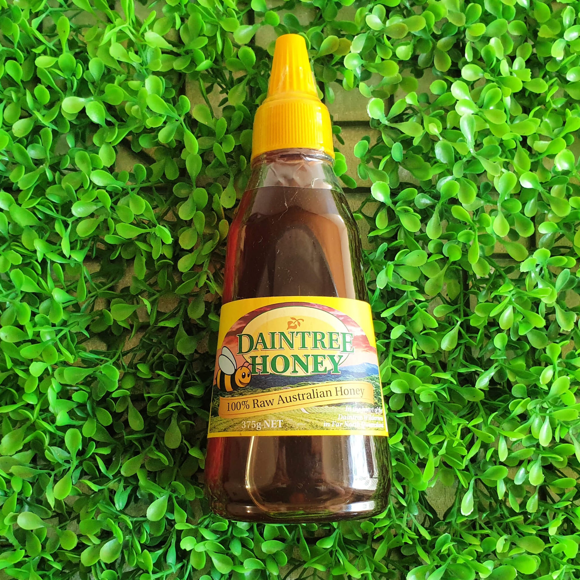 Daintree Honey Squeeze Bottle 375g - Far North Plantations