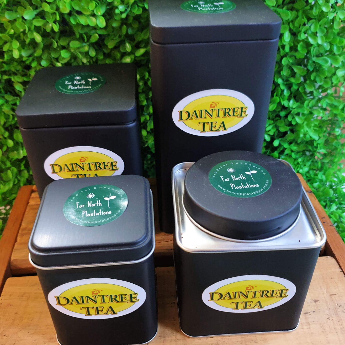 NEW Starter Tin Specials Daintree Tea - Far North Plantations