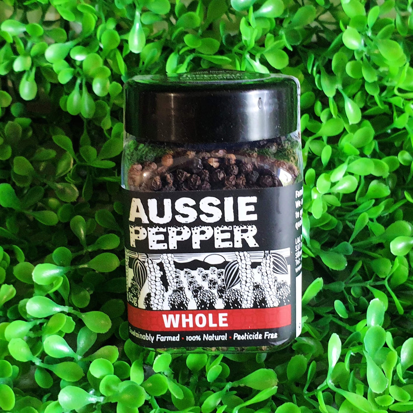 Whole Peppercorns - Aussie Pepper - Small - Far North Plantations